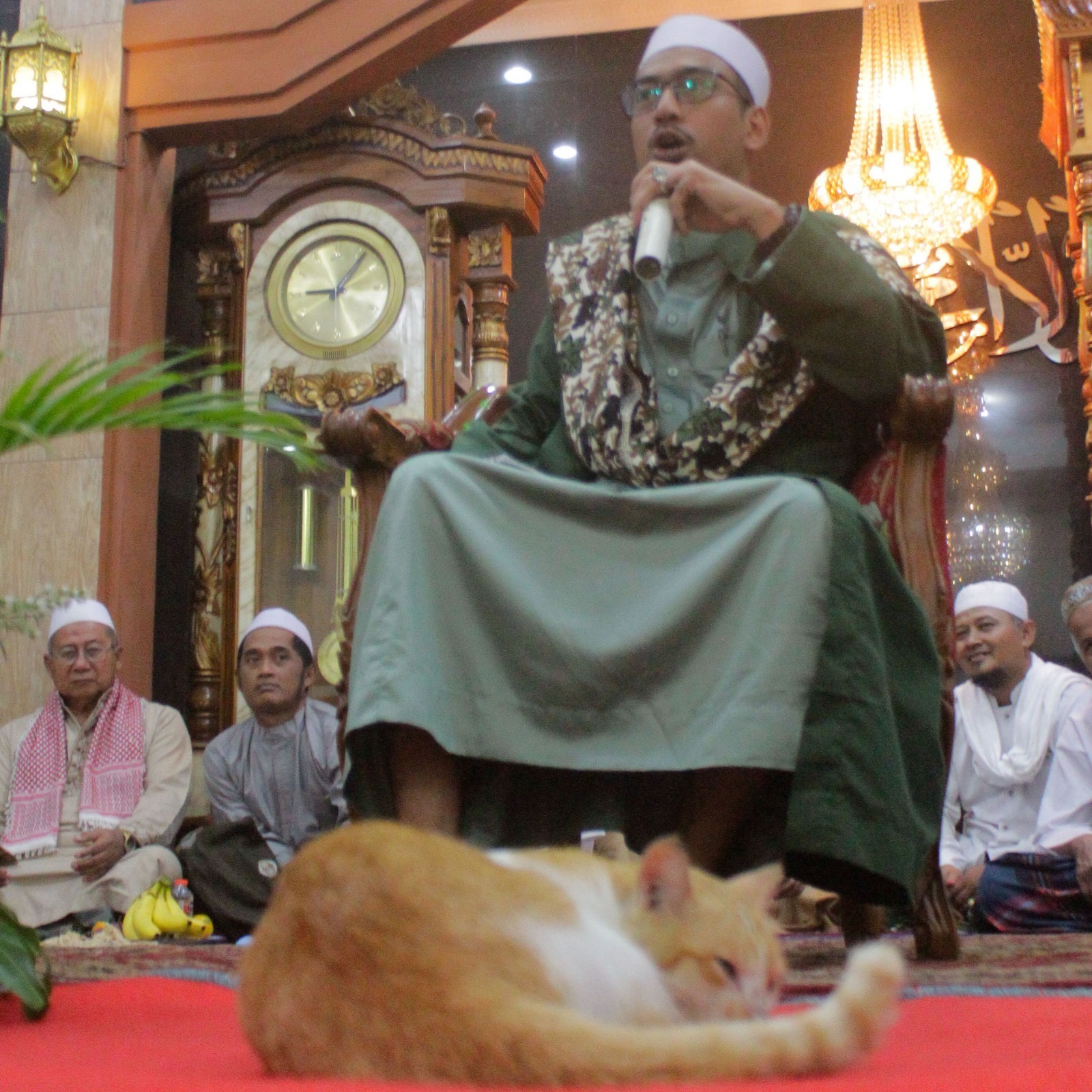 WhatsApp Image 2025-10-17 at 15.56.50(8)